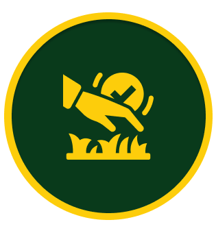 Lawn Aeration