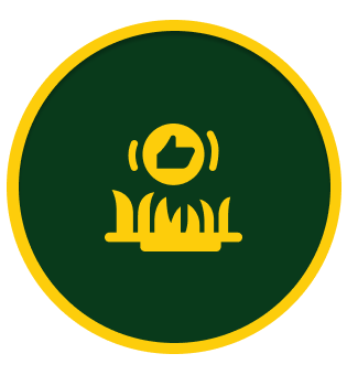 Lawn Care