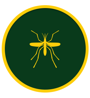 Mosquito Control