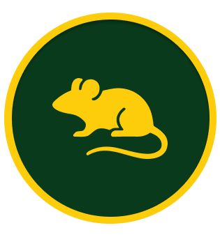 Rodent Control