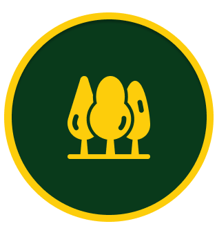 Tree & Shrub Care