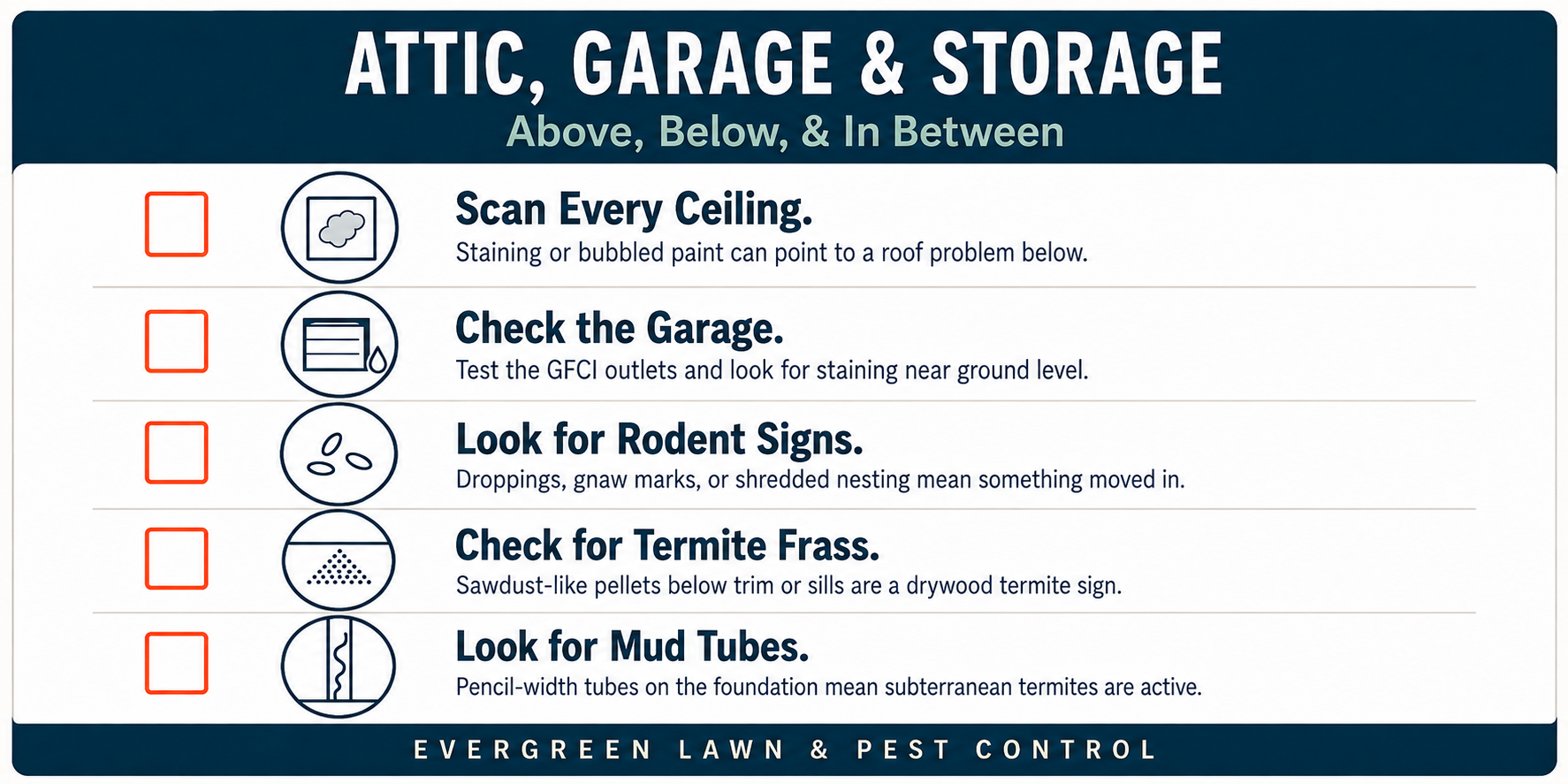 Bradenton termite control and rodent checklist for attic, garage, and storage areas