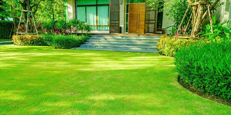 4 Tips for Keeping Your Grass Green All Year Long