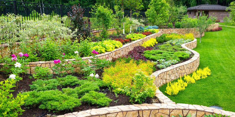 5 Low Maintenance Landscaping Ideas for Your Florida Home