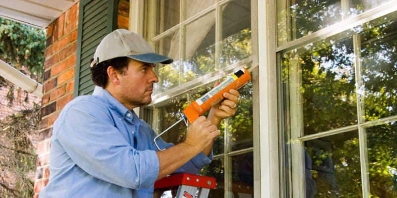 A Homeowner’s Guide to Protecting Your Home Against Rodents