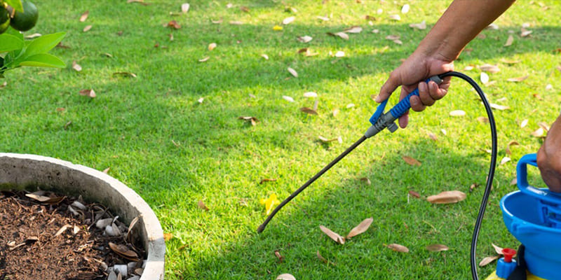 Fall Lawn Treatments to Get Rid of and Prevent Weeds