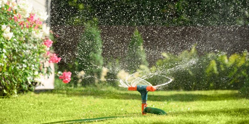 Central Florida Lawn Watering Tips