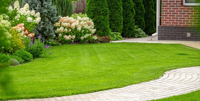 Want a Beautiful Yard & Bug-Free Home? Become an Evergreen VIP!