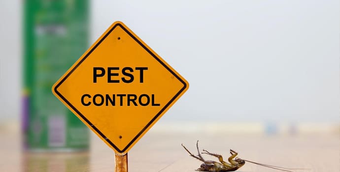 Is Quarterly Pest Control Necessary in Florida?