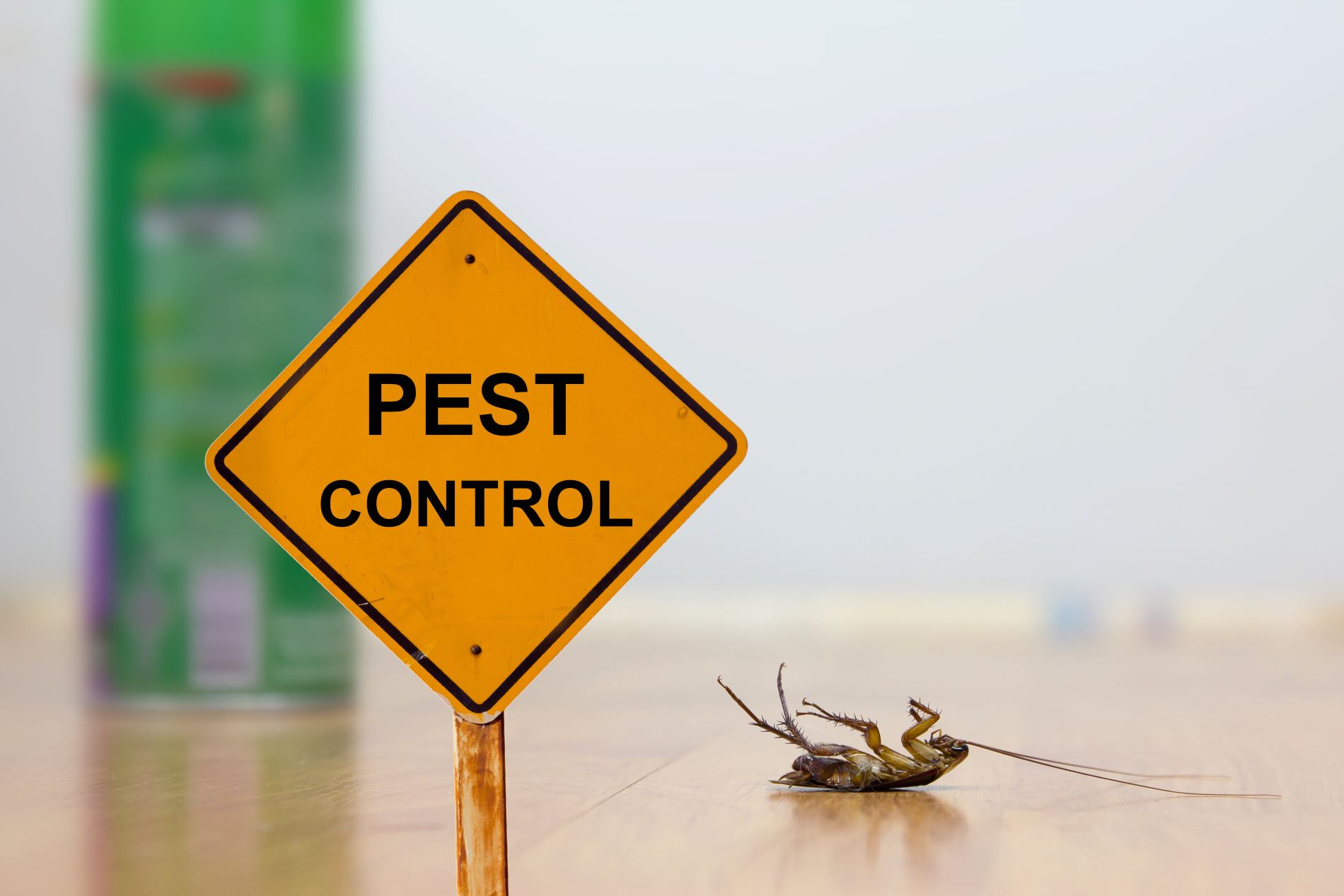 Pest Control 2